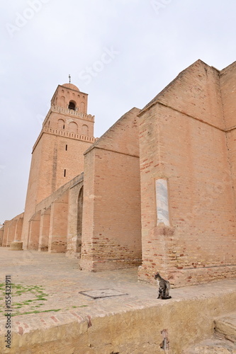 View of the Great Mosque of Kairouan and Street Tunisian Cat in Kairouan City, Tunisia