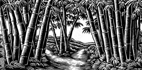 Bamboo grove walkway with dappled light in black and white sketch