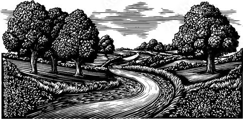 Serene cycle path winding through scenic parkland landscape