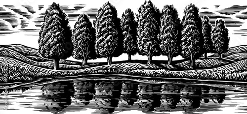 Serene cypress swamp reflection in mirror still water landscape