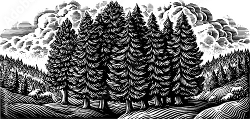 Dense pine forest in misty mountains - black and white nature design for posters and prints