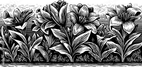 Vintage floral border design featuring elegant flower bed along gravel walkway