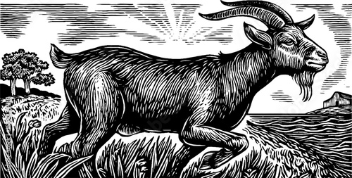 Rustic goat in pastoral landscape with goat cheese dairy shed, black and white
