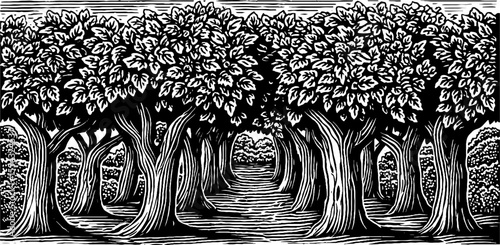 Black and white iron pergola tunnel with lush vines and leafy archway in vintage style