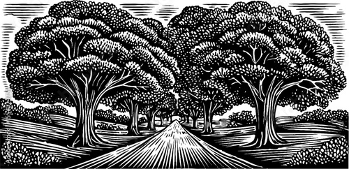 Leafy boulevard with central median in black and white for vintage design inspiration