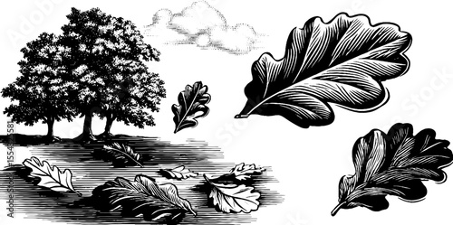 Autumn woodland scene with fallen leaves and trees for seasonal design