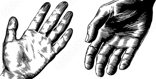 Detailed hand and wrist depiction with creases and veins, perfect for art and design
