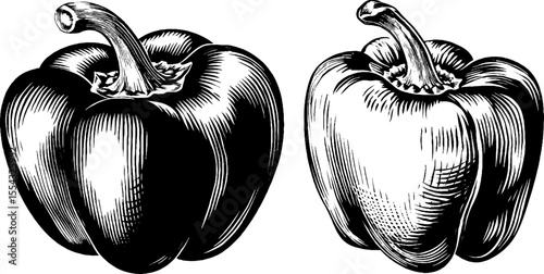 Detailed bell pepper sketch featuring slice, seed nest, and skin elements for culinary design