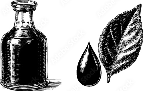 Vintage olive oil bottle with droplet and leaf design for culinary themes
