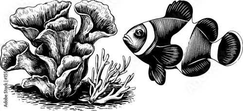 Ocean life art: brain coral, sea anemone, and clownfish for marine design