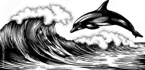 Dolphin fin and wave crest in ocean scene for nautical design