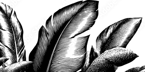 Feather and quill sketch with parchment border design for invitations or stationery