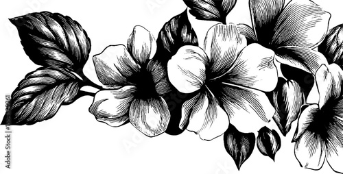 Intricate floral corner flourish with vine tendril for elegant decor and design projects