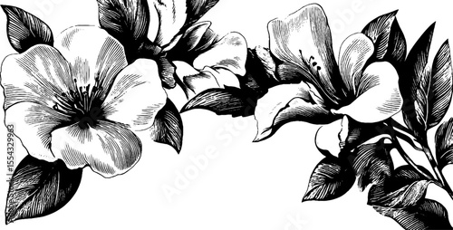 Elegant floral corner flourish and vine tendril design for artistic decoration and print
