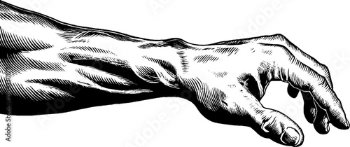 Anatomical study of forearm muscles and wrist bones hand drawn design for educational use
