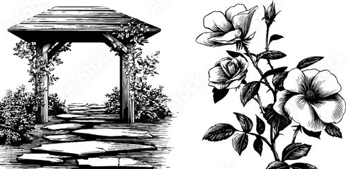 Vintage gazebo pavilion and climbing rose vine engraving for design and decoration