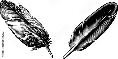 Vintage hand drawn feather set with intricate detailing for artistic design