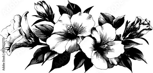 Elegant floral arrangement with hibiscus illustration for design elements