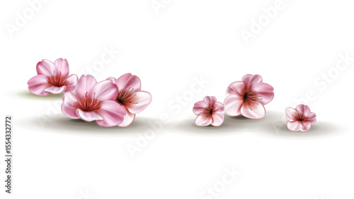 Elegant Sakura Blossom: Sakura blossoms, with delicate petals and soft pink hues, gracefully scattered on a surface. This evokes the ephemeral beauty of spring.