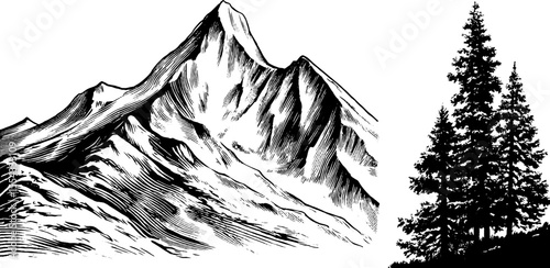 Jagged mountain peak and scree slope with pine tree silhouette for nature design