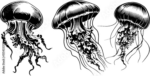 Vintage jellyfish sketch set with tentacles and bell shape for marine design