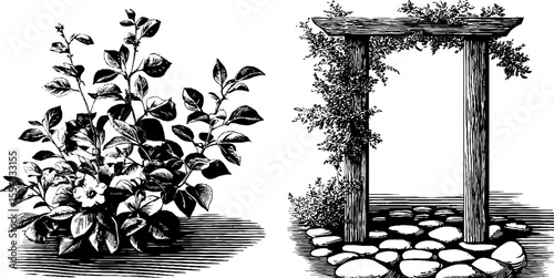 Vintage garden arch and honeysuckle silhouette for retro design