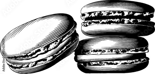 Vintage hand-drawn macaron stack and almond sketch for culinary design