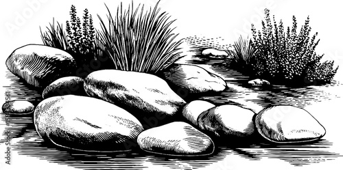 Meandering stream channel with river pebbles and lush foliage - nature landscape design