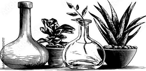 Vintage hand drawn candleholders and glass terrarium trio illustration for design and decor