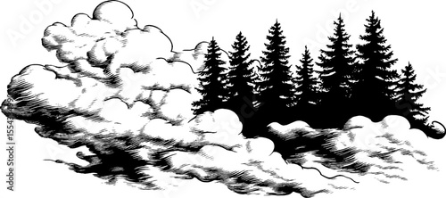 Misty evergreen forest with swirling fog and dewdrops
