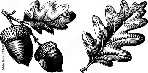 Set of oak leaf cluster and acorn cap with bark texture for nature design