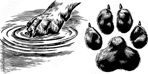 Otter fur patterns with water ripple and paw design for nature-inspired art