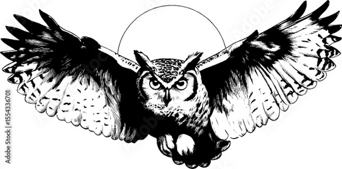 Detailed owl with wide eyes and spread wings illustration for animal art projects