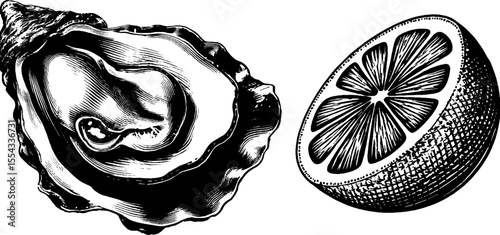 Vintage oyster shell and lemon wedge engraving for culinary designs