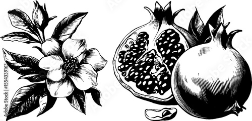 Vintage pomegranate illustration featuring whole and split fruits with flower design for decor and prints