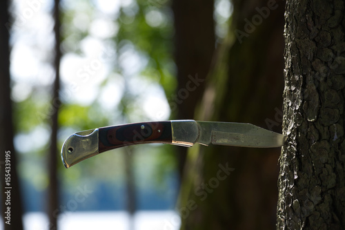 A sharp pocket knife is stuck in a tree, demonstrating its sharpness and purpose in nature.