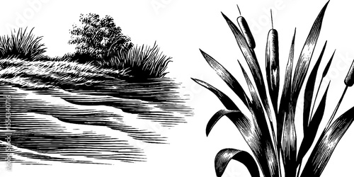 River delta pattern with sandbank contour and cattail vegetation sketch for nature design