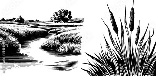 Scenic river delta with sandbank contour featuring dense grass and rustic trees for nature art design