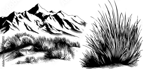Scenic rocky plateau and mountain ridge landscape for artistic design