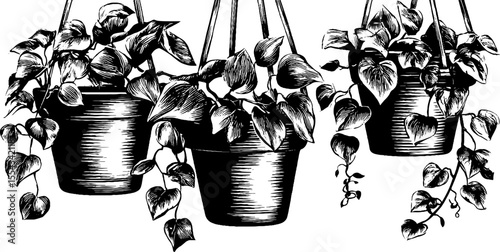 Vintage hanging planters with trailing ivy illustration for garden decor