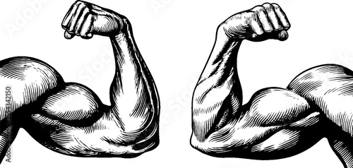 Anatomical study of arm and shoulder muscles for fitness and health education