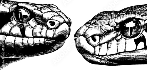 Snake skin pattern design with dynamic tongue flick for artistic projects