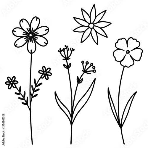 Collection of Five Hand-Drawn Wildflower Illustrations