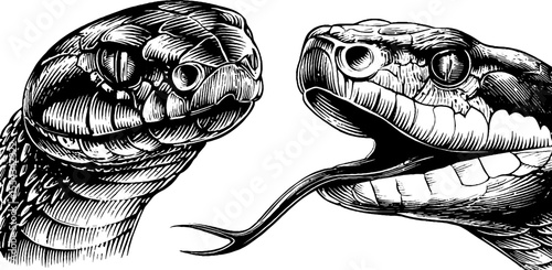 Intricate snake skin diamond pattern with expressive tongue flick - reptile design for artistic print
