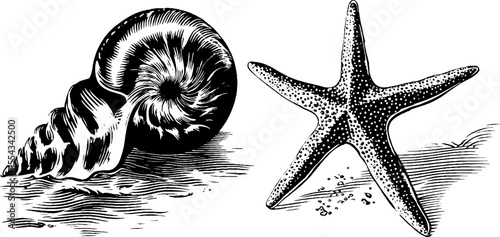 Vintage nautilus shell and starfish silhouette for retro design