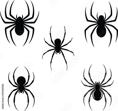 Spider Silhouette collection of different types spider