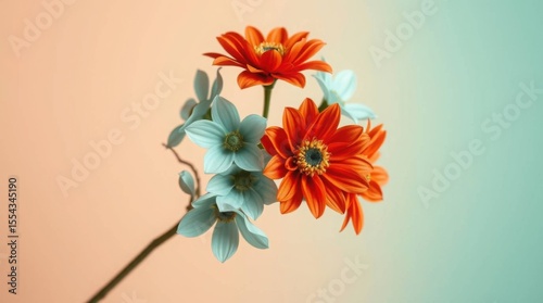 Elegant flower cluster with orange and blue blooms in a minimalist composition featuring terracotta and teal colors