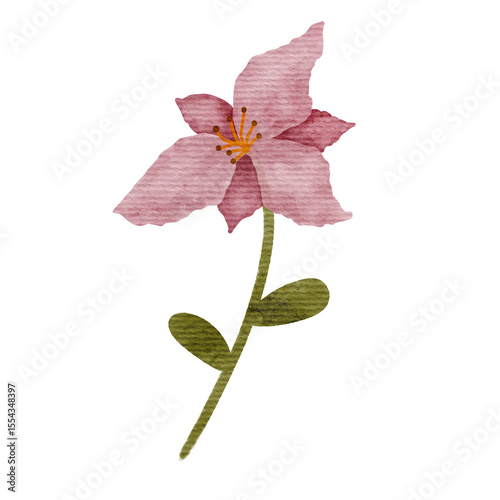 Watercolor Flower Illustration
