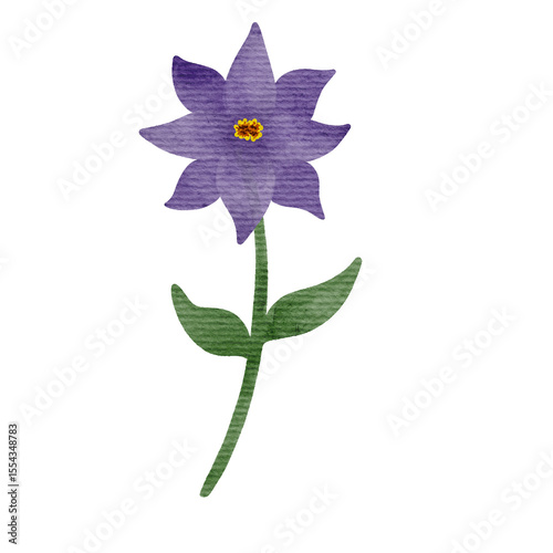 Watercolor Flower Illustration