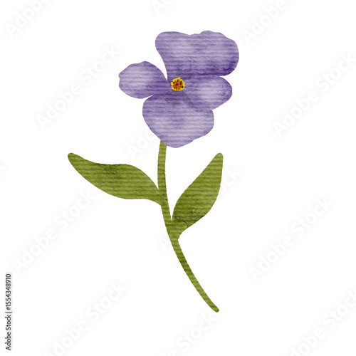 Watercolor Flower Illustration